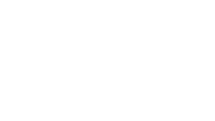 Filet de poulet - image 1